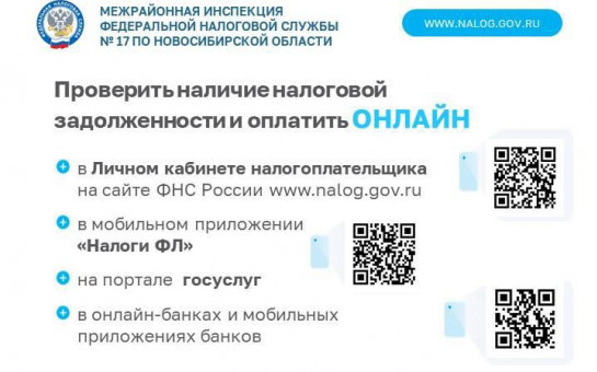 Как узнать о наличии налоговой задолженности и погасить ее?